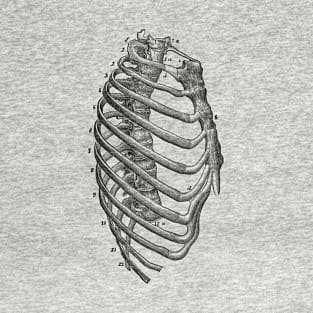 Rib Cage Diagram - Vintage Anatomy T-Shirt